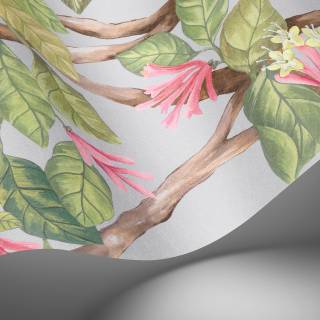 Коллекция Selection of Hummingbirds, 124/2010