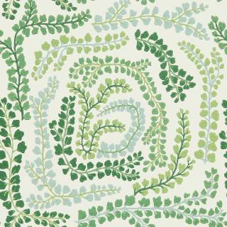 Колекція Colour 4, HC4W113021