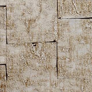 Коллекция  Boutique, 90501