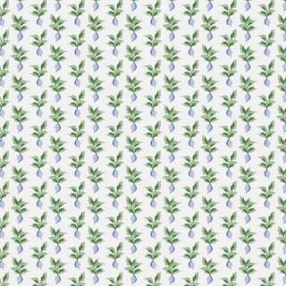 Колекція Bloom & Lattice, 50407W1064103