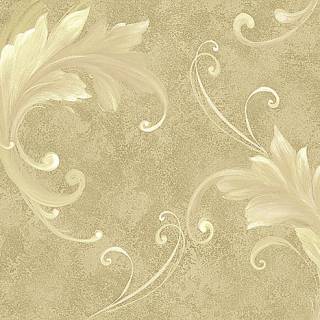 Колекція Edition 2, cb21805