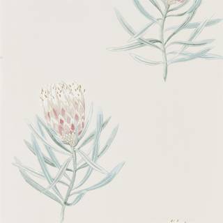 Коллекция Art of The Garden, DART216330