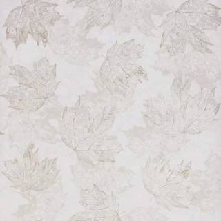 Коллекция  Folium, w7339-04