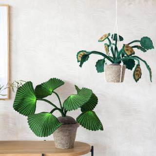 Коллекция  Oasis, 317300