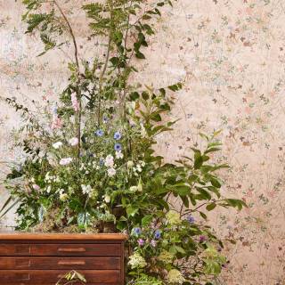 Коллекция Disney Home, DDIW217279