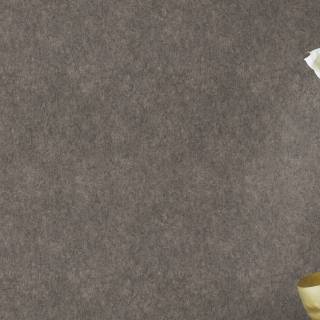 Коллекция Linares, 617160