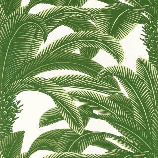 Коллекция  Palm Grove, T13907