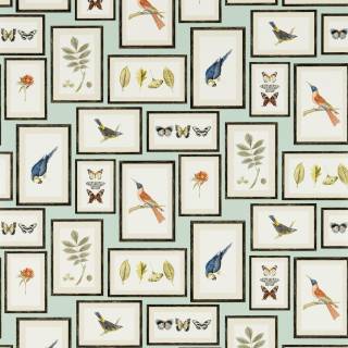 Колекція Voyage of Discovery, DVOY213400