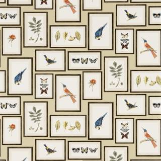 Колекція One Sixty, DVOY213399