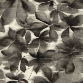 Колекція Colour 4, HC4W113005