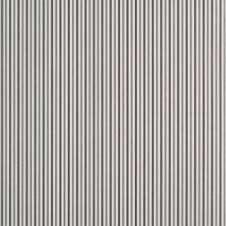 Коллекция  Stripes and Checks, T44067