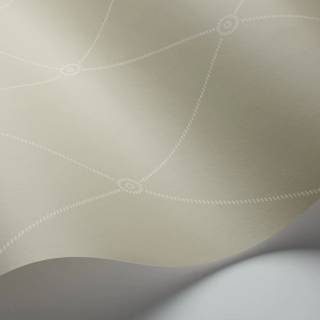 Коллекция Archive Anthology 100/13065