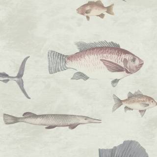 Колекція Discovery, DYW0001 Колекція Discovery, DYW0001