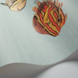 Колекція Fornasetti Selection, 97/10030