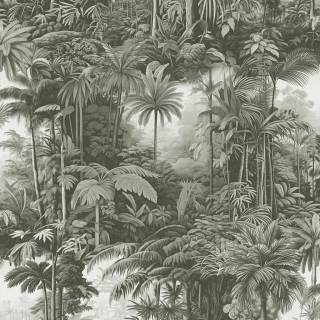 Колекція Arboretum Graham, 127916