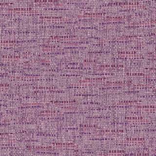 Колекція Groovy, 340534