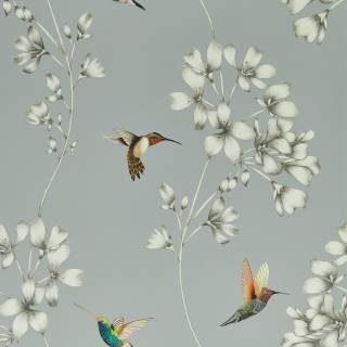 Коллекция Colour, HTEW112605