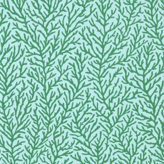 Колекція Colour, HTEW112769