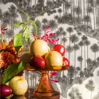 Колекція Shinrin Yoku, 126/6023 Колекція Shinrin Yoku, 126/6023