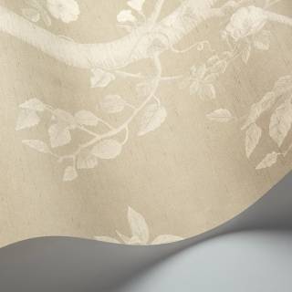 Коллекция The Gardens, 120/6023S