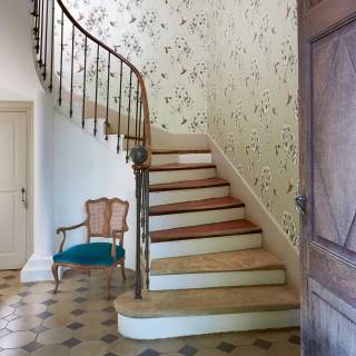 Коллекция Amazilia, HAMA111063