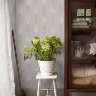 Коллекция  Anno, 4543