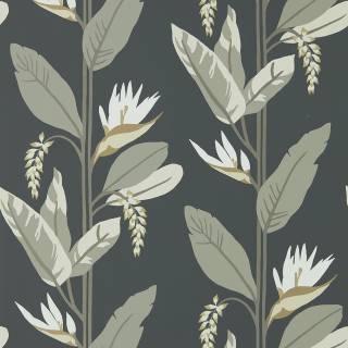 Колекція Mirador, HMIW112256