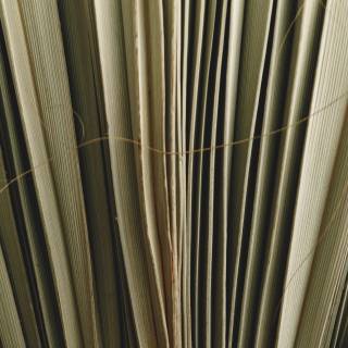 Коллекция  Sustainable, SU308