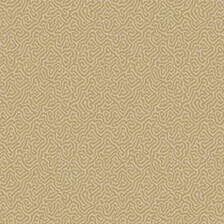 Коллекция Curio, 107/4021 Коллекция Curio, 107/4021