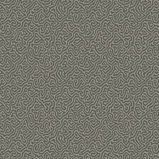 Коллекция Curio, 107/4017