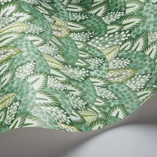 Колекція Ardmore - Jabula, 119/9042