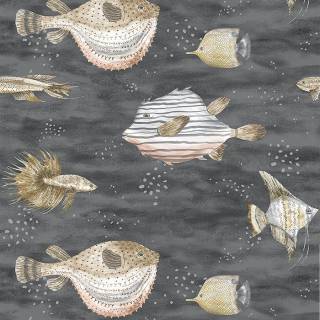 Колекція Anthology Resource, db10200 Колекція Anthology Resource, db10200