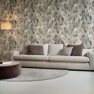 Колекція Curiosa, 13571