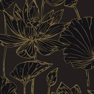 Колекція Piano, WH40700