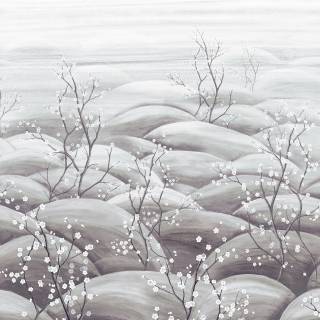 Колекція Traces, DGTRA5031