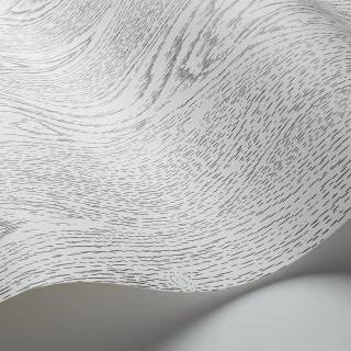 Колекція Curio, 107/10045 Колекція Curio, 107/10045