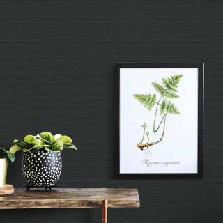 Коллекция Martinique, 12193-47 Коллекция Martinique, 12193-47