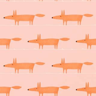 Коллекция Midi Fox, NHAP112816