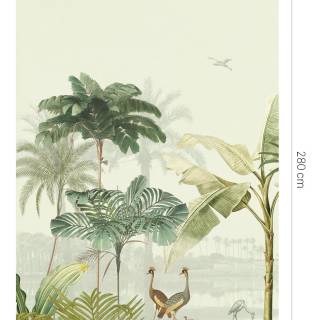 Колекція Oasis, 317405