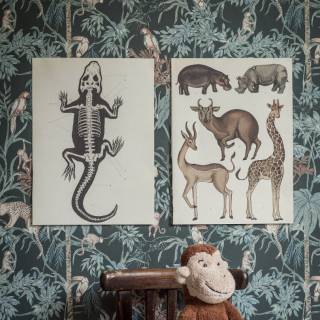 Колекція Newbie, 7463