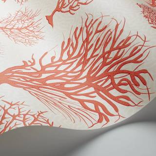 Колекція Curio, 107/2011