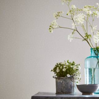 Коллекция Potting Room, DHPO216382 Коллекция Potting Room, DHPO216382