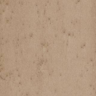 Коллекция  Lush, 37522A Коллекция  Lush, 37522A