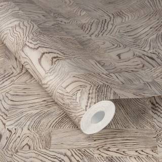 Коллекция  African Queen III, 751635