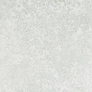 Колекція Etsu, W424/01