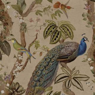 Коллекция  Arboretum, 91740