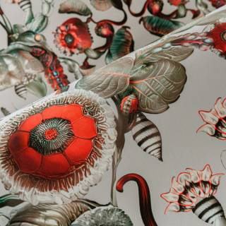 Колекція Mooi Wallcovering Green House, MO5000