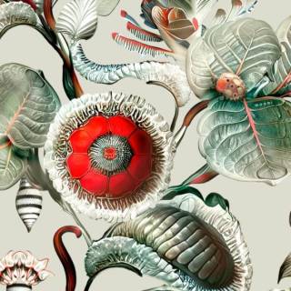 Колекція Mooi Wallcovering Green House, MO5000