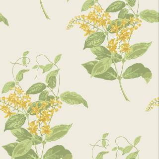 Колекція Archive Anthology 100/12059