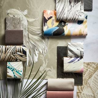 Колекція Colour, HTEW112765